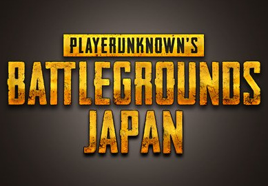 48915PUBG