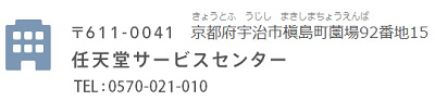 45553NintenSupp0-