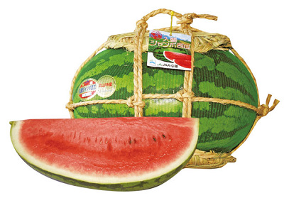 44268Suica0