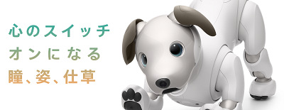 20180111aibo