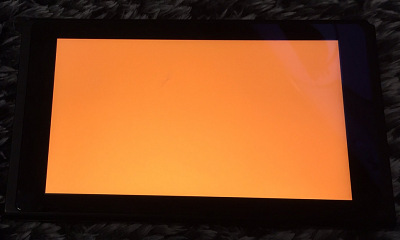 45279Orangtch0