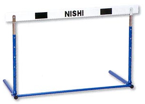 448E_Nishihard0