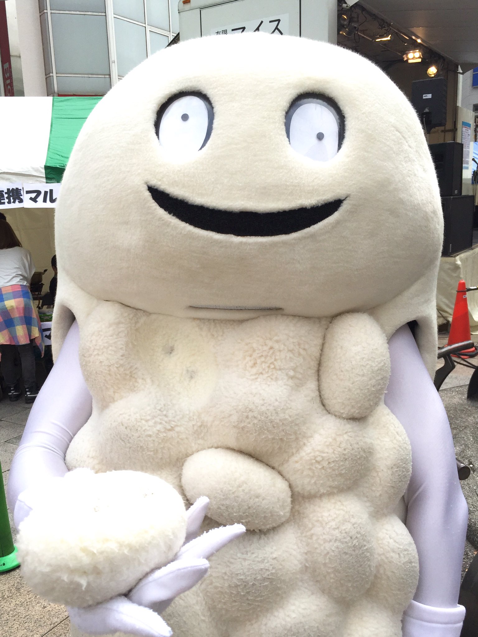 39509Zushihokki3 39509Zushihokki4