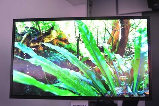 23409SONYCES2