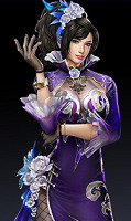 22811Musou0