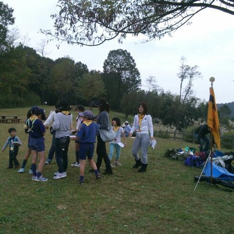 cd0130f2.jpg