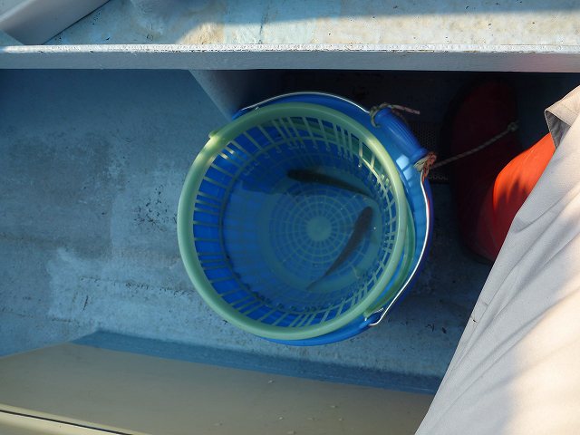 P1000919