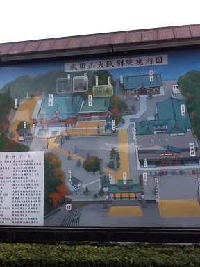 photo (11)