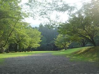 DSC00532