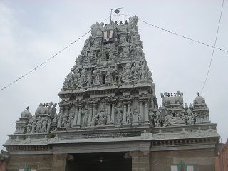 DSC02230
