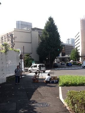 写真5