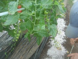 DSC00126