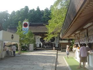 DSC00508