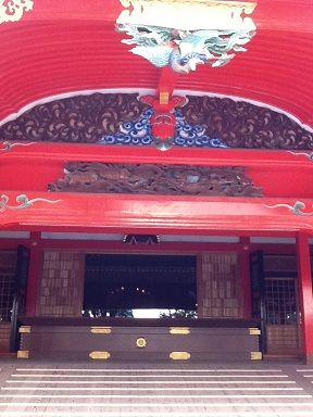 photo (9)