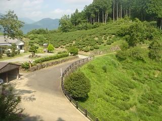 DSC00464