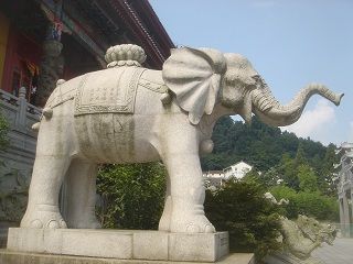 DSC03009