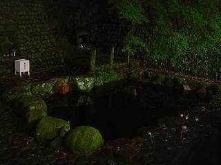 DSC00384