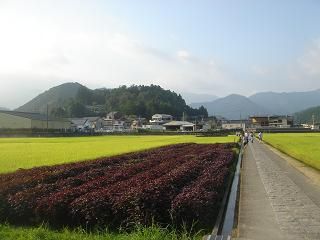 DSC00542
