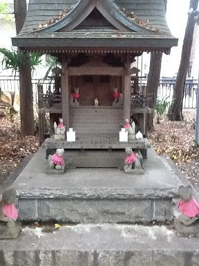 写真11