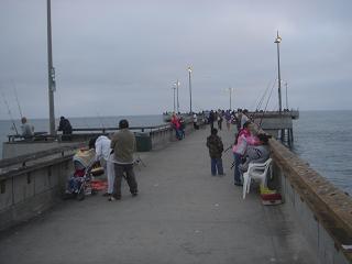 856b8635.jpg