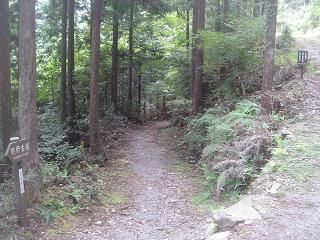 DSC00436