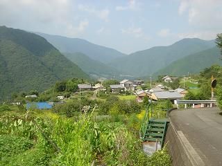 DSC00460