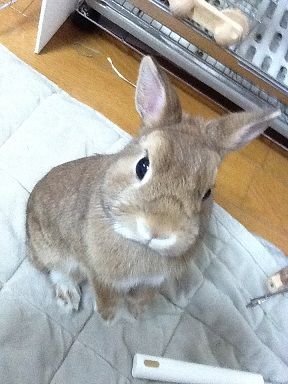写真3