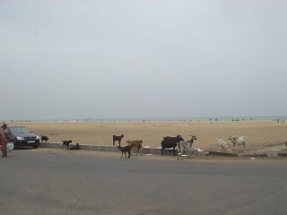 DSC02210