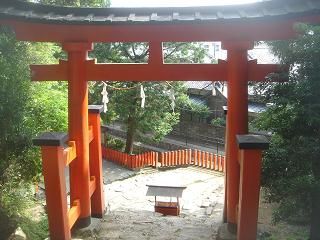 DSC00550