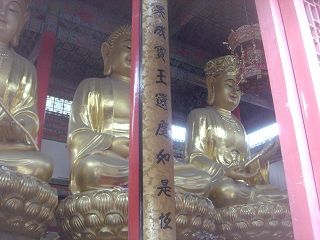 DSC03012