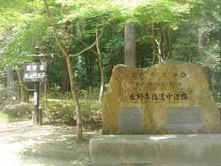 DSC00449