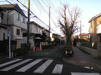 20081129_0745上鷺宮の事件現場