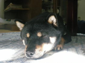 DSCN2906