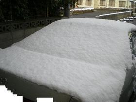 DSCN2901