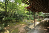 �п屡8