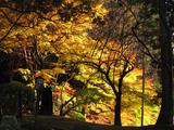 西明寺2