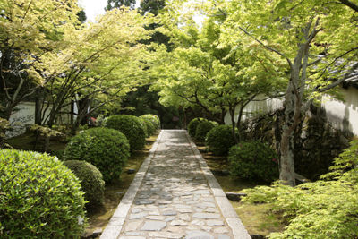 2総門から南進