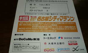 名古屋市ティーマラソン