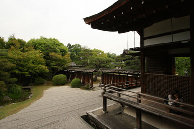 §IMG_3320(400P)