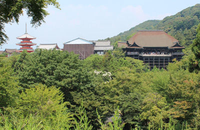 IMG_7312¡ü¥È¥ê¥ß¥ó¥°400£ð
