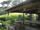 慈光院 大刈り込み