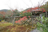 光悦寺
