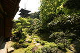 西南院 1
