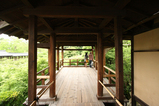 東福寺庭園3