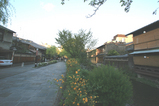 茶屋街と白川