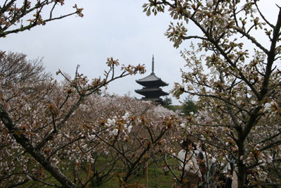 ¥IMG_4394(400P)