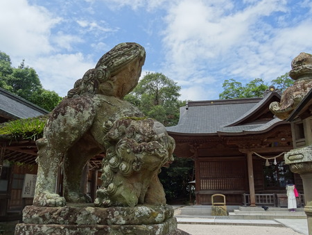 DSC00508