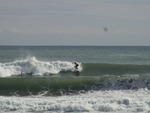 RIMG0646