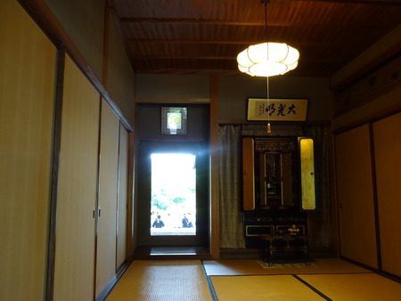 DSC00533