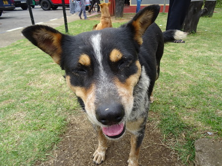 DSC03106